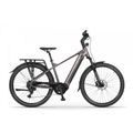 Rower elektryczny Ecobike MX 300 Golden Grey 1