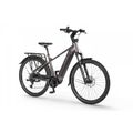 Rower elektryczny Ecobike MX 300 Golden Grey 3