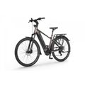Rower elektryczny Ecobike MX 300 Golden Grey 5