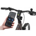 Rower elektryczny Ecobike MX 300 Golden Grey 8