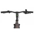 Rower elektryczny Ecobike MX 300 Golden Grey 13