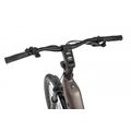 Rower elektryczny Ecobike LX 300 Onyx 14