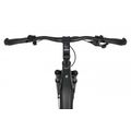 Rower elektryczny Ecobike LX 500 Graphite 13