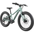 CANNONDALE KIDS TRAIL PLUS 20" (C5203GU20/CTG) 188