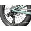 CANNONDALE KIDS TRAIL PLUS 20" (C5203GU20/CTG) 240