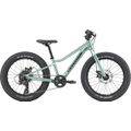 CANNONDALE KIDS TRAIL PLUS 20" (C5203GU20/CTG) 277