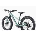 CANNONDALE KIDS TRAIL PLUS 20" (C5203GU20/CTG) 291