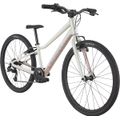 CANNONDALE QUICK 24" (C51702U20/IRD) 201