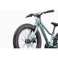 CANNONDALE KIDS TRAIL PLUS 20" (C5203GU20/CTG) 328