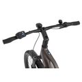 Rower elektryczny Ecobike Dare 14
