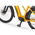 Rower elektryczny Ecobike Expedition Yellow SUV 11
