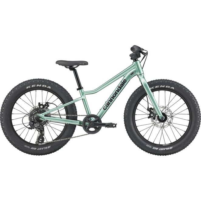CANNONDALE KIDS TRAIL PLUS 20" (C5203GU20/CTG)