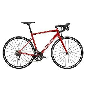 CANNONDALE CAAD OPTIMO 1 (C14101M10/CRD)